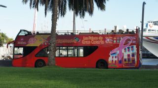 2017-Las_Palmas-Gran_Canaria-082.JPG